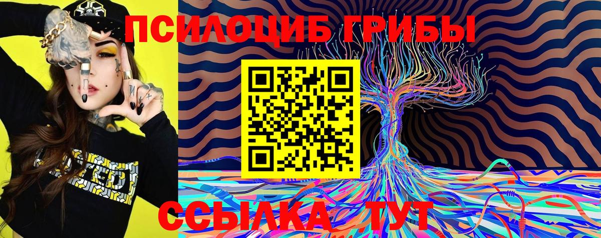 Галлюциногенные грибы Psilocybe  Вход с VPN  Галлюциногенные грибы ЛСД  Ульяновск 