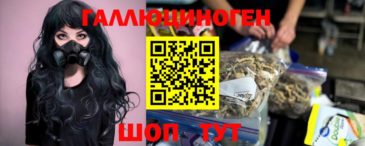 Псилоцибиновые грибы Cubensis Ульяновск